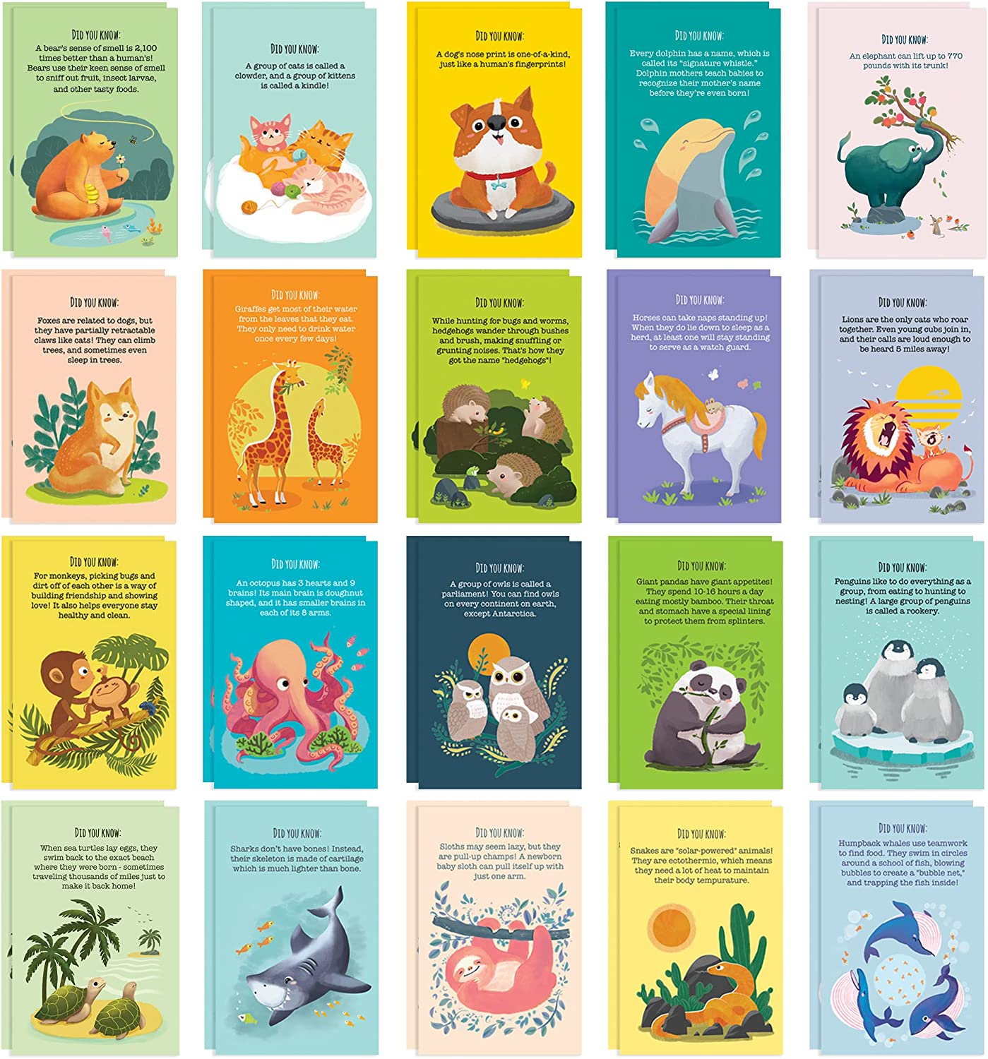 230527225041921_1 T MARIE 40 Animal Fun Fact Postcards - Bulk Thinking of You Postcard Pack for Kids, Students, Friends, Teacher, and More - Say Hello, Thank You or I Miss You with Colorful Note Cards - Image 1